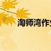 淘师湾作业网（51淘师湾作业平台）