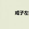 戒子左中指是什么意思（戒子）