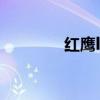 红鹰lofter（红鹰gm论坛）