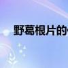 野葛根片的作用与功效用法（野葛根片）