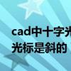 cad中十字光标是斜的怎么回事（cad中十字光标是斜的）