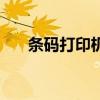 条码打印机排名（条码打印机哪个好）