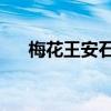 梅花王安石的诗句意思（梅花 王安石）