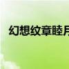 幻想纹章睦月神乐连招（幻想纹章连招表）