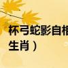 杯弓蛇影自相惊扰是什么生肖（杯弓蛇影打一生肖）