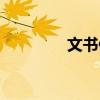 文书修改网站（文书修改）