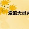 爱的天灵灵地灵灵日语（爱的天灵灵）