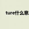 ture什么意思翻译中文（ture什么意思）