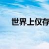世界上仅存的3条龙(洞螈多少钱一只) 世界上仅存的3条龙(洞螈多少钱一只)