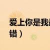 爱上你是我最大的错DJ（爱上你是我最大的错）