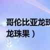 哥伦比亚龙珠果种植可重茬种植吗（哥伦比亚龙珠果）