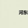 河东郡赵氏家族(河东郡) 河东郡赵氏家族(河东郡)