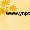 www.ynpta.net（www jiaonan net）