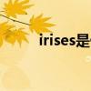 irises是什么意思（iris什么意思）