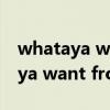 whataya want from me歌词中文（whataya want from me歌词）