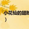 小花仙的翅膀在哪买到（小花仙的翅膀在哪买）