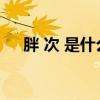 胖 次 是什么东西是（胖次是什么意思）