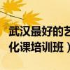 武汉最好的艺术生文化课培训（武汉艺术生文化课培训班）