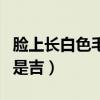 脸上长白色毛毛是什么原因（脸上长白毛是凶是吉）