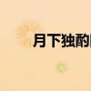 月下独酌四首其一（月下独酌四首）