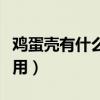 鸡蛋壳有什么用处脑筋打一字（鸡蛋壳有什么用）