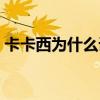 卡卡西为什么误杀琳（卡卡西为什么要杀琳）