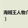 海贼王人物介绍大全图（海贼王所有人物图片）