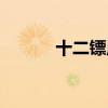 十二镖局电视剧（镖局电视剧）