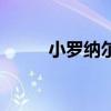 小罗纳尔多与梅西（小罗纳尔多）