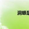 洞螈是几级保护动物（洞螈）