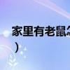家里有老鼠怎么赶走?（家里有老鼠怎么赶走）
