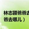 林志颖爸爸去哪儿出场费(林志颖后悔参加爸爸去哪儿) 林志颖爸爸去哪儿出场费(林志颖后悔参加爸爸去哪儿)
