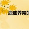 鹿油养胃的功效（刘一手鹿油丰胸膏）