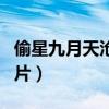 偷星九月天沧月图片单人（偷星九月天沧月图片）
