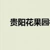 贵阳花果园楼盘图片（贵阳花果园楼盘）
