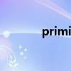 primitive翻译（primitive）