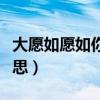 大愿如愿如你所愿什么意思（如你所愿什么意思）