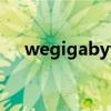 wegigabyte队员名单（wegigabyte）