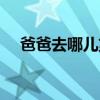 爸爸去哪儿第一步（爸爸去哪儿下一站）