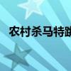 农村杀马特跳舞（乡村杀马特是什么意思）