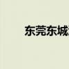 东莞东城酒店预订（东莞东城酒店）