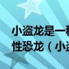 小盗龙是一种生活在1.2亿年前带羽毛的肉食性恐龙（小盗龙）
