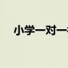 小学一对一补课价格（小学一对一价格）