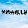 爸爸去哪儿总共几期（爸爸去哪儿一共几期）