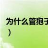 为什么管狍子叫傻狍子（狍子为什么叫傻狍子）