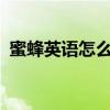 蜜蜂英语怎么念?（蜜蜂英语怎么读音发音）