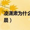 凌潇肃为什么恨姚晨知乎（凌潇肃为什么恨姚晨）