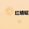 红蜻蜓官网商城（红蜻蜓官网）