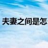 夫妻之间是怎么怀上孩子的（性生活是什么）