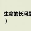 生命的长河是无止境的修辞手法（生命的长河）